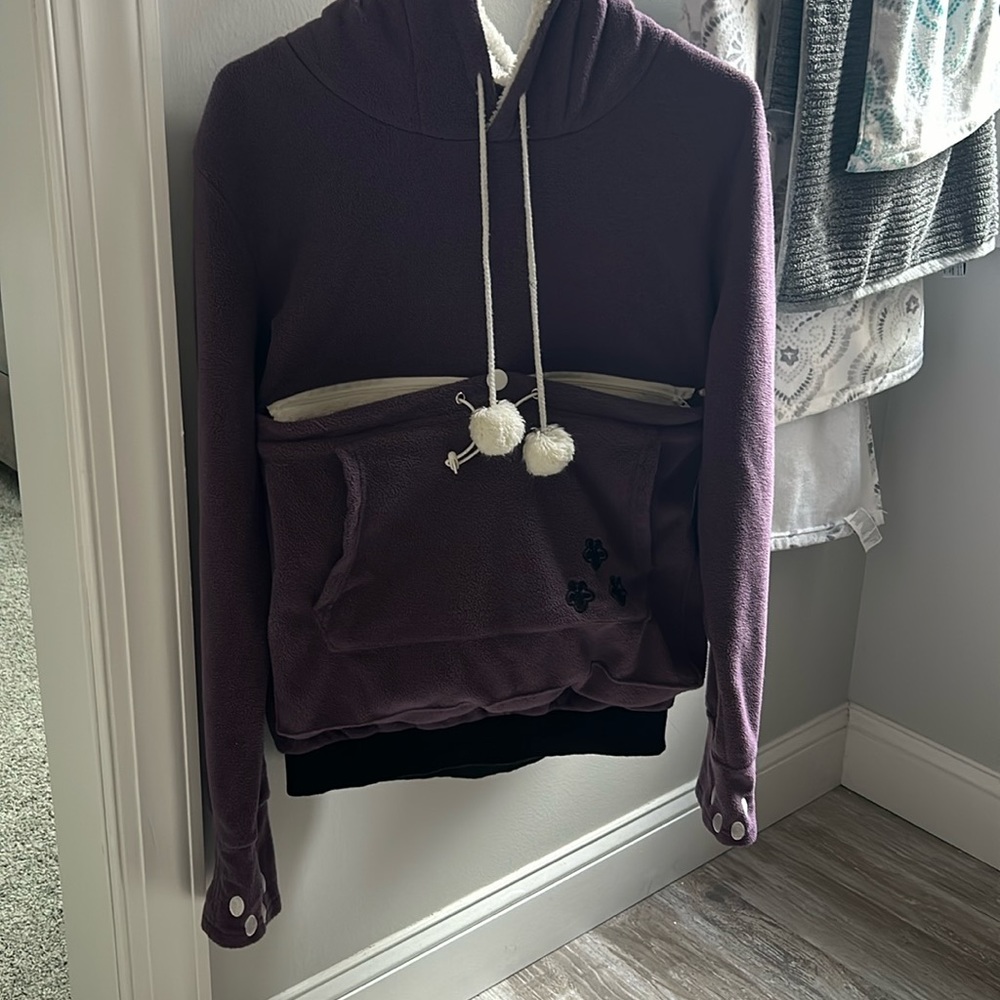 Purple cat carrying sweat shirt